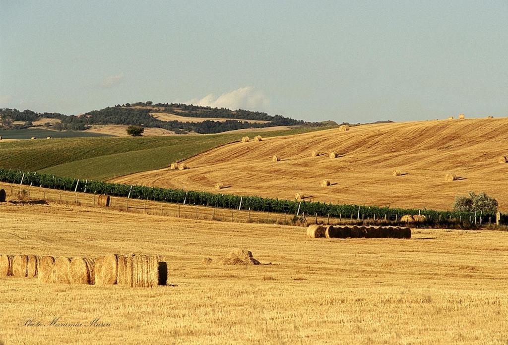 Podere Biancospino Chianciano Terme Exterior foto